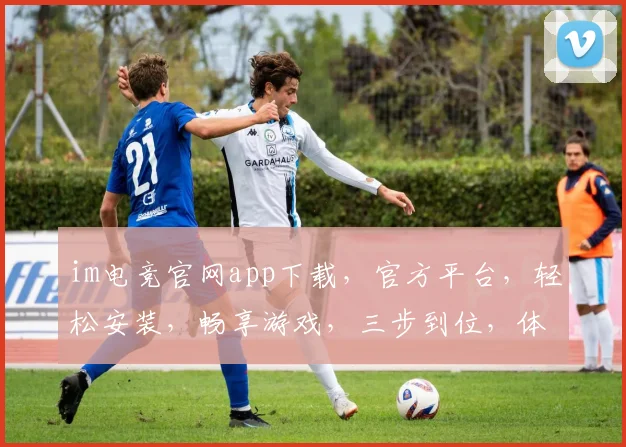 im电竞官网app下载，官方平台，轻松安装，畅享游戏，三步到位，体验非凡