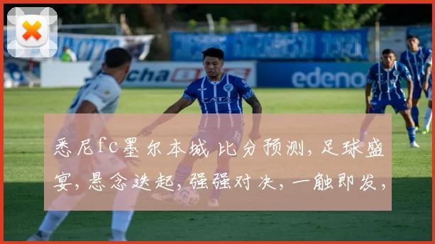 悉尼fc墨尔本城 比分预测,足球盛宴,悬念迭起,强强对决,一触即发,谁将问鼎
