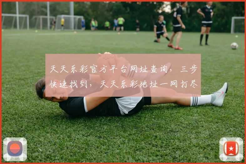天天乐彩官方平台网址查询，三步快速找到，天天乐彩地址一网打尽，必看