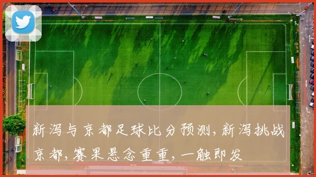 新泻与京都足球比分预测,新泻挑战京都,赛果悬念重重,一触即发